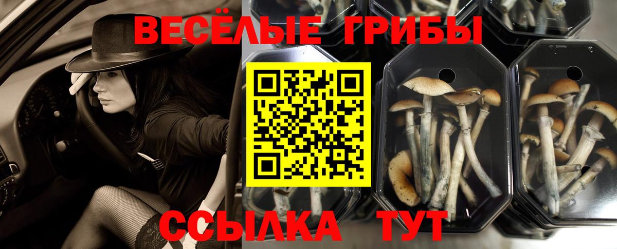 Псилоцибиновые грибы Psilocybe  Галлюциногенные грибы мухоморы  Ангарск  Вход с VPN 